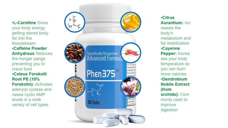 Phen375 Ingredients list