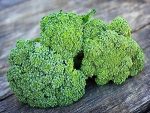 Belly Fat Burning Foods