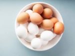 Belly Fat Burning Foods