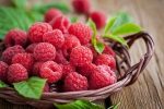Belly Fat Burning Foods