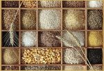Belly Fat Burning Foods