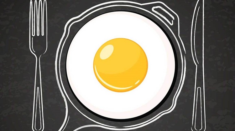 Egg Yolk 