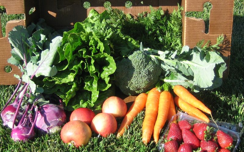 Farm Winter Vegetables